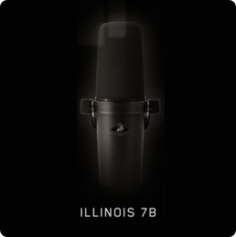 Illinois 7B@2x