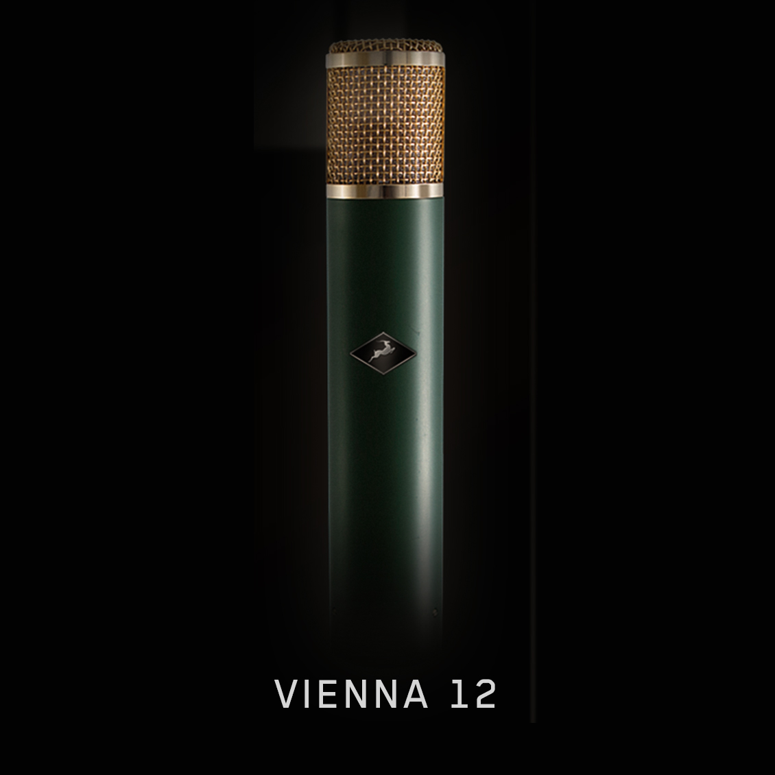 Vienna 12
