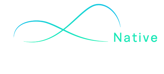 SCN Logo2