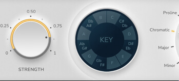 inTune Performer web